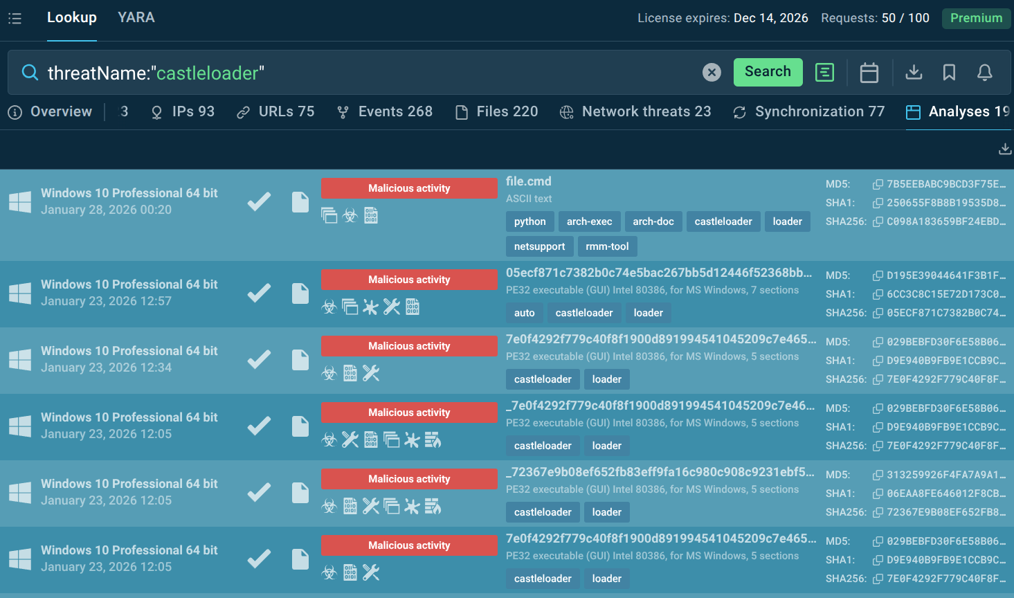 CastleLoader sandbox analyses